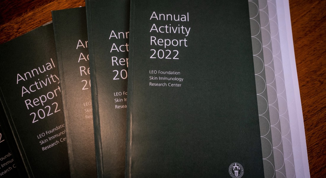 Picture of Annual Activity Report