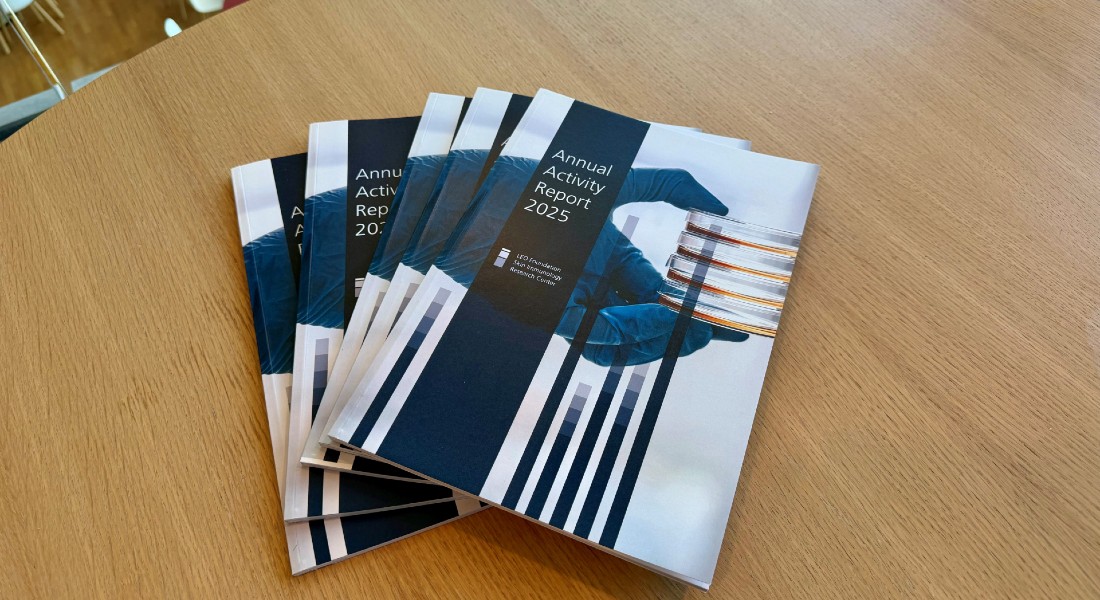 Annual Activity Report 2025