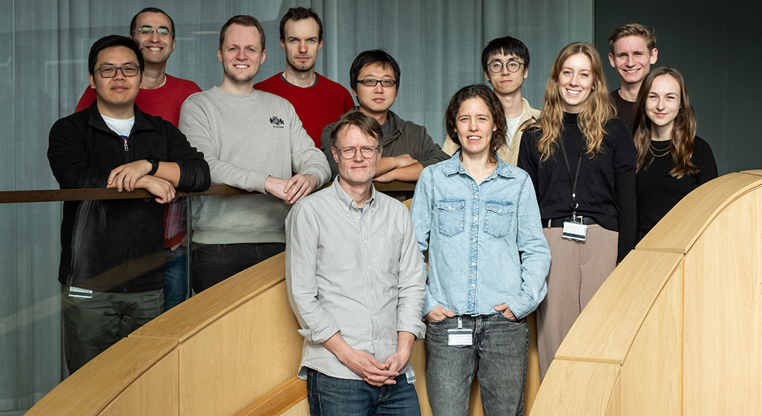 About the Molecular Immunology and Inflammation group.